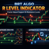 BRT Algo R Level Indicator (MT5) - Brtalgo MT5 trading tool by BRT Algo