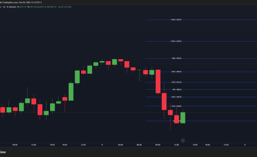 BRT Algo Auto Fibonacci Levels Indicator (TV) - Brtalgo trading software by BRT Algo